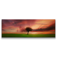 Load image into Gallery viewer, 1pB_orange