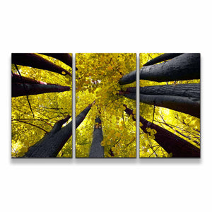 3pE_yellow