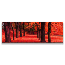 Load image into Gallery viewer, 1pB_red