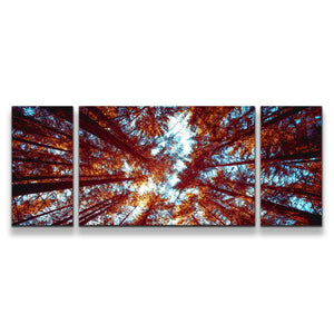 3pD_orange