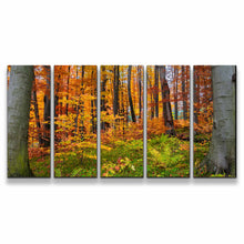 Load image into Gallery viewer, 5pD_orange