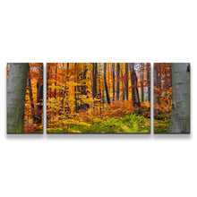 Load image into Gallery viewer, 3pD_orange