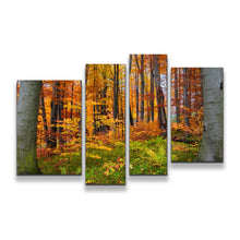 Load image into Gallery viewer, 4pA_orange