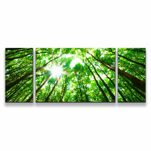 3pD_green