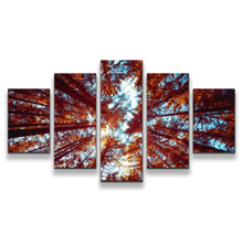 Load image into Gallery viewer, 5pA_orange