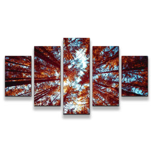 5pA_orange
