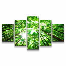 Load image into Gallery viewer, 5pA_green