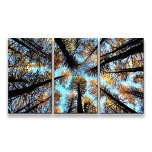 Load image into Gallery viewer, 3pE_blue