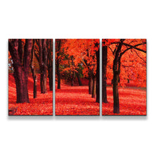 Load image into Gallery viewer, 3pE_red