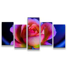 Load image into Gallery viewer, 5pC_blue