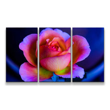 Load image into Gallery viewer, 3pE_blue