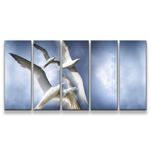 Load image into Gallery viewer, 5pD_blue