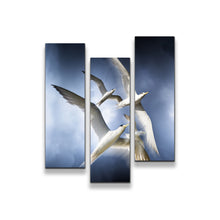 Load image into Gallery viewer, 3pB_blue