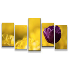 Load image into Gallery viewer, 5pC_yellow