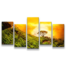 Load image into Gallery viewer, 5pC_orange