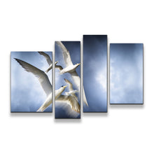 Load image into Gallery viewer, 4pA_blue