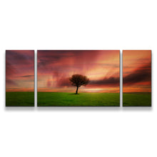 Load image into Gallery viewer, 3pD_orange