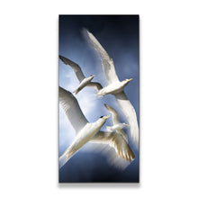 Load image into Gallery viewer, 1pC_blue