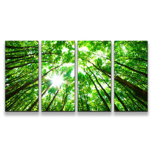 4pC_green