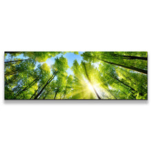 Load image into Gallery viewer, 1pB_green