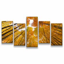 Load image into Gallery viewer, 5pC_yellow