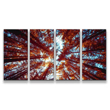Load image into Gallery viewer, 4pC_orange