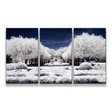 Load image into Gallery viewer, 3pE_white