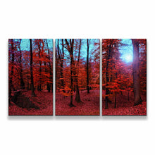 Load image into Gallery viewer, 3pE_red