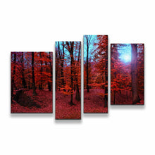 Load image into Gallery viewer, 4pA_red