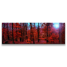 Load image into Gallery viewer, 1pB_red