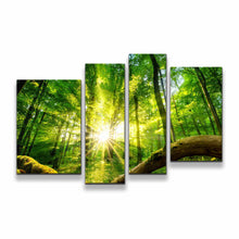 Load image into Gallery viewer, 4pA_green