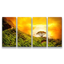 Load image into Gallery viewer, 4pC_orange