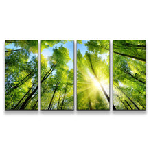 Load image into Gallery viewer, 4pC_green