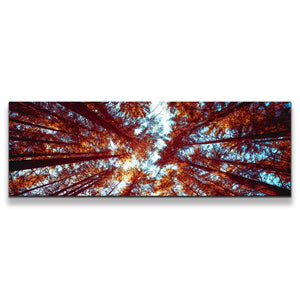 1pB_orange