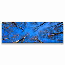 Load image into Gallery viewer, 1pB_blue