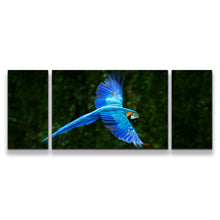 Load image into Gallery viewer, 3pD_blue