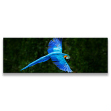 Load image into Gallery viewer, 1pB_blue