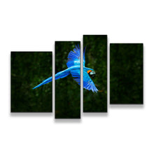 Load image into Gallery viewer, 4pA_blue