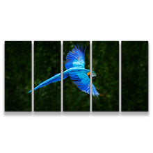 Load image into Gallery viewer, 5pD_blue