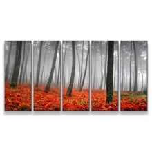 Load image into Gallery viewer, 5pD_grey