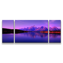 Load image into Gallery viewer, 3pD_Purple