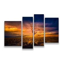 Load image into Gallery viewer, 4pA_orange