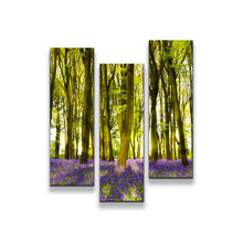 Load image into Gallery viewer, 3pB_green