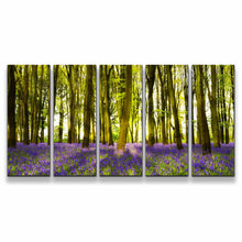 Load image into Gallery viewer, 5pD_green