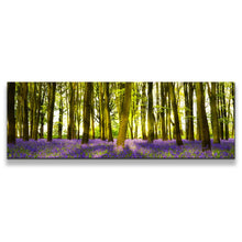 Load image into Gallery viewer, 1pB_green