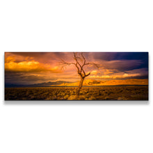 Load image into Gallery viewer, 1pB_orange