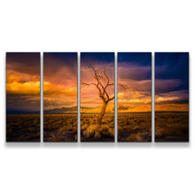 Load image into Gallery viewer, 5pD_orange