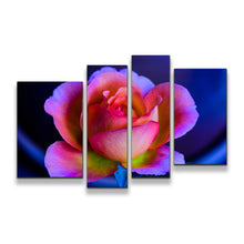 Load image into Gallery viewer, 4pA_blue