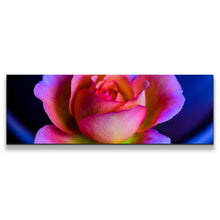 Load image into Gallery viewer, 1pB_blue