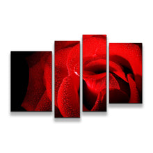 Load image into Gallery viewer, 4pA_red